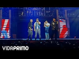 DON OMAR feat DADDY YANKEE / YANDEL / ARCANGEL - YO SOY DE AQUI @ HECHO EN PUERTO RICO