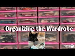 ORGANIZING THE AMERICAN GIRL WARDROBE (FALL 2024)