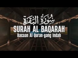 SURAH AL BAQARAH | Setan Kabur dari Rumah | Penenang Hati dan Pikiran | Samsul Haq