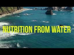 Nutrition From Water (NXW) - IndieBio SF Demo Day 15