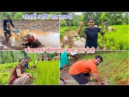 कोकणातली भात लावणी | नांगरणी | Konkan Vlog | Rice Farming | Bhat lavani | Pritis World