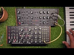 uh... Moog Labyrinth x Subharmonicon