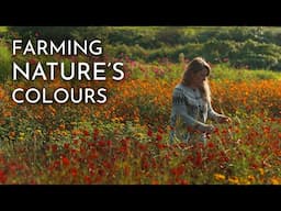 From Plant to Pigment | The Future of Small-Scale Organic Dye Production