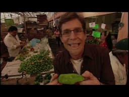 Rick Bayless "Mexico: One Plate at a Time" Episode 502: Fresh Chiles, Hot & Cool