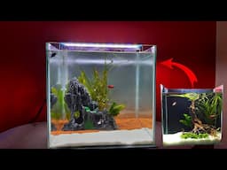 Setting up a Simple  Betta fish Aquarium | 1.5 feet tank setup | True Pets Aqua |