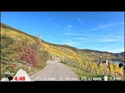 20 minute Indoor Cycling Workout Autumn 🚴‍♀️🍂🍁🌞 Mosel Germany Garmin 4K Video