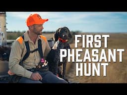 South Dakota Pheasant Opener 2024 - My Dog's First Pheasant Hunt