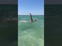 Effortless Open water swimming freestyle #danswim #swimming #beach