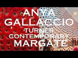 Come and Explore the Organic, Ever-changing Art of Anya Gallaccio in Margate