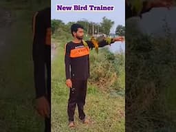 Free Flight Birds in India, Training Time #sunconurebird #freeflightparrot