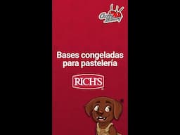 Bases Congeladas para Pasteleria Rich´s