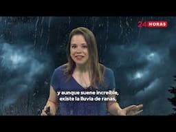 Curiosidades 24 | ¿Sabías que existe un fenómeno conocido como “lluvia de peces”?