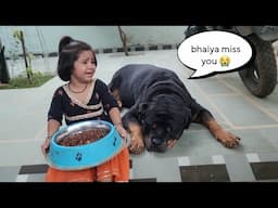 jerry please eat food 🥺|| emotional dog video || #rajveer #dog #rottweiler #therott #snappygirls ||