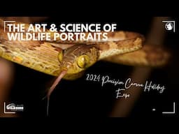 The Art & Science of Wildlife Portraits - 2024 Precision Camera & Video Holiday Expo