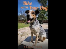 Getting Started Riding a Bike with Your Dog #shorts