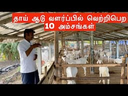 10 tips to succeed goat farming