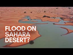 Sahara Desert Floods for First Time in Decades, Scientists are PANICKING