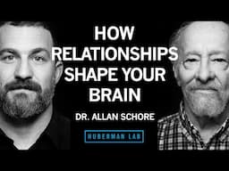 Dr. Allan Schore: How Relationships Shape Your Brain