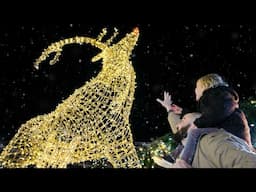 FOX5 takes you inside Enchant Christmas at Las Vegas Ballpark