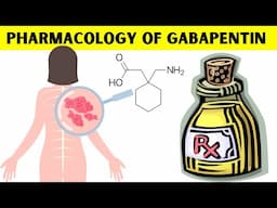 Gabapentin Pharmacology - Uses, Mechanism Of Action, Adverse Effects And Contraindications