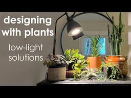 Designing with Plants: Low Light Solutions