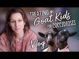 Treating my Goat Kids for Coccidiosis - VLOG | Dosing with Toltrazuril