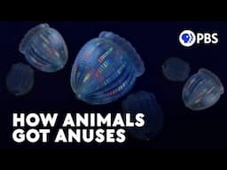 How Animals Got Butts