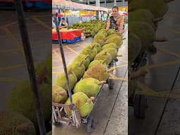 Must-Eat! The Biggest Tropical Fruit - Jackfruit Cutting Skills