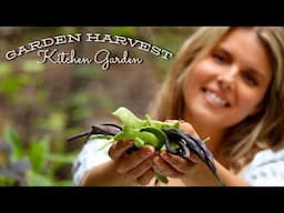 Kitchen Garden Harvest (Autumn Cottage Garden) #cottagegarden