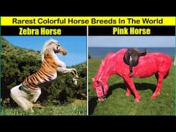 10 Rarest Colorful Horse Breeds In The World