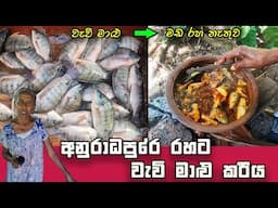 Delicious! Lake Fish Curry Recipe in Village Style, Sri Lanka