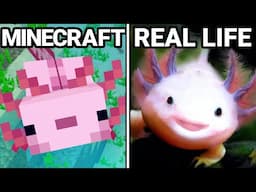 30 Minecraft Items VS Real Life!