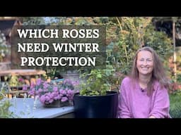 Which Zones Require ROSE Protection?