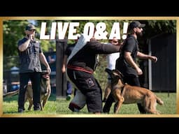 LIVE Dog Training Q&A!