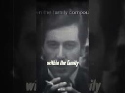 Michael Corleone Explains the Rise of Sicilian Mafia...  #mafia #alpacino #history