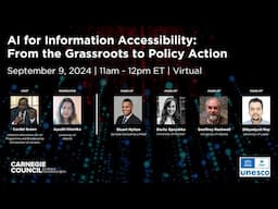 AI for Information Accessibility: From the Grassroots to Policy Action