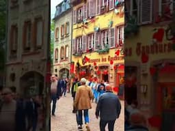 Colmar, France 2024 - Just a charming city you must visit! #travel #colmar #france #beautiful