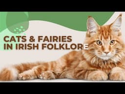 Bewitching Tales of Cats and Fairies in Irish Folklore 😺🌟