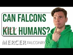 Bird Trainer Answers Falconry Questions | Tech support