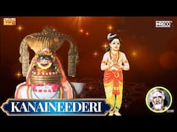 Kanaineederi | திருஞானசம்பந்தர் தேவாரம் 136 | Dharmapuram P Swaminathan