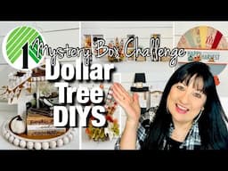 🦃 FUN FALL DOLLAR TREE DIYS | MYSTERY BOX CHALLENGE