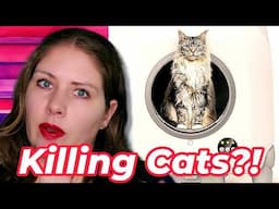 Dangerous Self-Cleaning Litter Boxes | Vet’s Voice