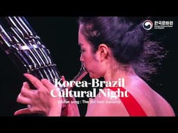 Korea - Brazil Cultural Night🌙