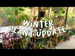 My Mom's House Plant and Garden Updates | WINTER 2022 FLORIDA PLANT TOUR