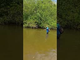 Hunting for lunch in Northern Australia #spearing #fishing