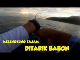 REEL  MENJERIT DIHAJAR TUNA  SAAT CASTING DIPULAU KABUNG ||  PART 2