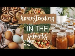 HOW TO START HOMESTEADING WITHOUT LAND / Urban homesteading for beginners