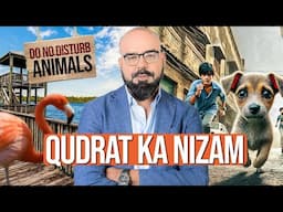 Qudrat Ka Nizam | Junaid Akram