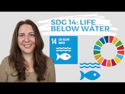 SDG 14 Life Below Water - UN Sustainable Development Goals - DEEP DIVE