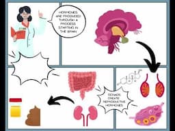 CASC Reproductive Science: Scoop on Poop 💩